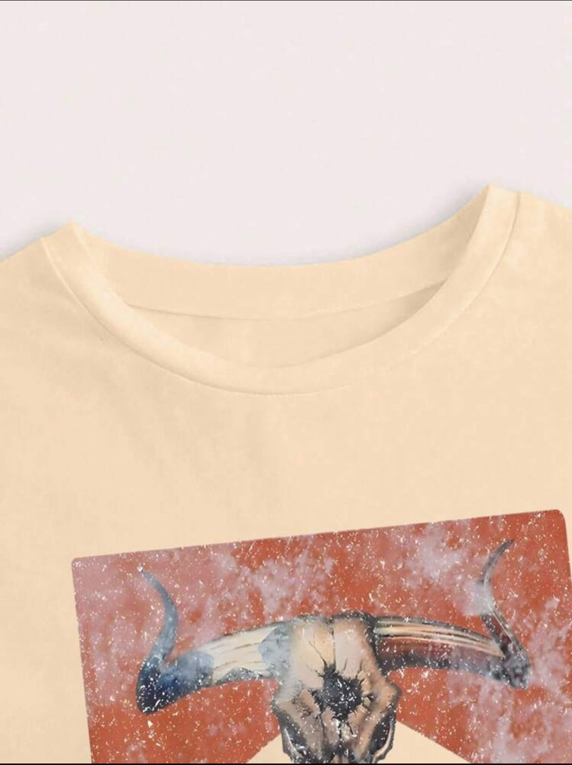 Raised on 90’s Country Crop Top