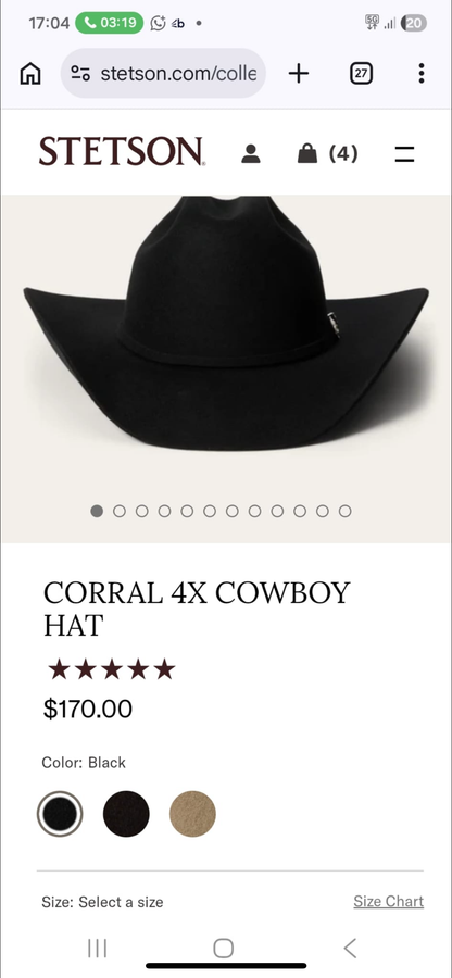 Stetson 4X size 7 3/4