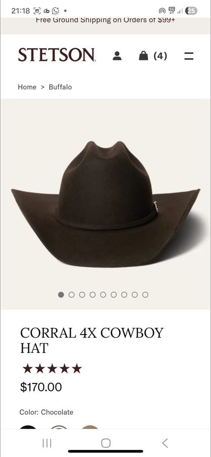 Stetson 4X size 7 3/4
