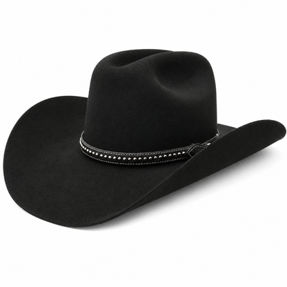 Stetson 6X Cowboy Hat Black with Custom Horsehair & Silver Stud Hat Band