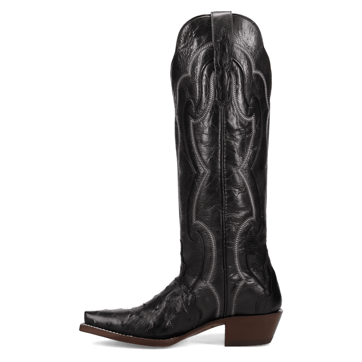 Maravilla Full Quill Ostrich Boot - Black, outside angle
