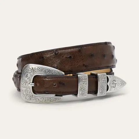 Stetson Men’s Genuine Ostrich Tapered Belt – Mocha Brown Last Rodeo Western Wear & Hat Bar